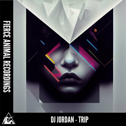 DJ Jordan - TRIP [FRCNML328]